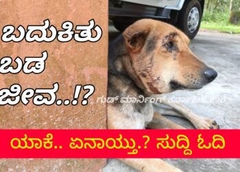 ಮಧ್ಯರಾತ್ರಿ ದಾಳಿ.. ಗ್ರೇಟ್ ಎಸ್ಕೇಪ್.. ಹೊಸಂಗಡಿ ಪವರ್ ಹೌಸ್ ಭದ್ರತಾ ಆವರಣದಲ್ಲಿ ನಡೆದಿದ್ದೇನು?