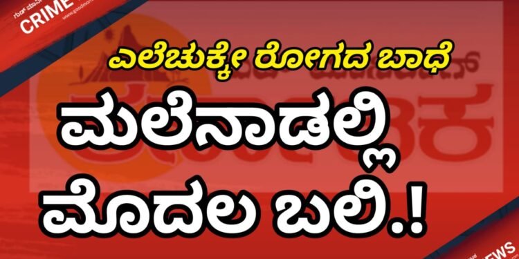 EXCLUSIVE BREAKING | ಮಲೆನಾಡಲ್ಲಿ ಮೊದಲ ಬಲಿ ! ಎಲೆಚುಕ್ಕೇ ರೋಗದ ಬಾಧೆಯಿಂದ ಬೇಸತ್ತ ರೈತ | ಮಾವಿನಮರಕ್ಕೆ ನೇಣು ಬಿಗಿದು ರೈತ ಆತ್ಮಹತ್ಯೆ !