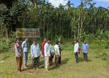 ಎಲೆಚುಕ್ಕೆ ರೋಗ ಬಾಧೆಗೆ ಸಿಲುಕಿ ರೈತನ ಆತ್ಮಹತ್ಯೆ ಪ್ರಕರಣ | ಕಿಳಂದೂರಿಗೆ ಕೃಷಿ ಅಧಿಕಾರಿಗಳ‌ ಭೇಟಿ, ಕೃಷಿ ಜಮೀನು ಪರಿಶೀಲನೆ