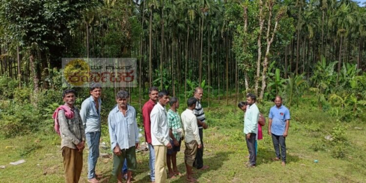 ಎಲೆಚುಕ್ಕೆ ರೋಗ ಬಾಧೆಗೆ ಸಿಲುಕಿ ರೈತನ ಆತ್ಮಹತ್ಯೆ ಪ್ರಕರಣ | ಕಿಳಂದೂರಿಗೆ ಕೃಷಿ ಅಧಿಕಾರಿಗಳ‌ ಭೇಟಿ, ಕೃಷಿ ಜಮೀನು ಪರಿಶೀಲನೆ
