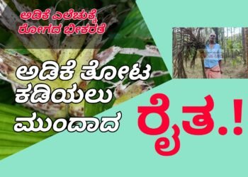 ಅಡಿಕೆ ತೋಟ ಕಡಿಯುವುದು ಬಿಟ್ಟರೆ ಬೇರೆ ಗತಿ ಇಲ್ಲ | ಎಡತೊಟ್ಲು ರೈತನ ಅಸಹಾಯಕ ಬದುಕು | ಅಡಿಕೆ ಎಲೆಚುಕ್ಕಿ ರೋಗಕ್ಕೆ ತತ್ತರ