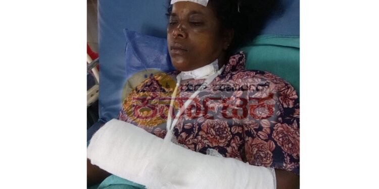 ಮಹಿಳೆ ಮೇಲೆ ಕಾಡುಕೋಣ ದಾಳಿ | ಮಹಿಳೆ ಸ್ಥಿತಿ ಗಂಭೀರ | ಕಟ್ಟಿನಹೊಳೆ ದಾಳಿ ಪ್ರಕರಣ ಮರೆಯುವ ಮುನ್ನವೇ ಮತ್ತೊಂದು ದಾಳಿ