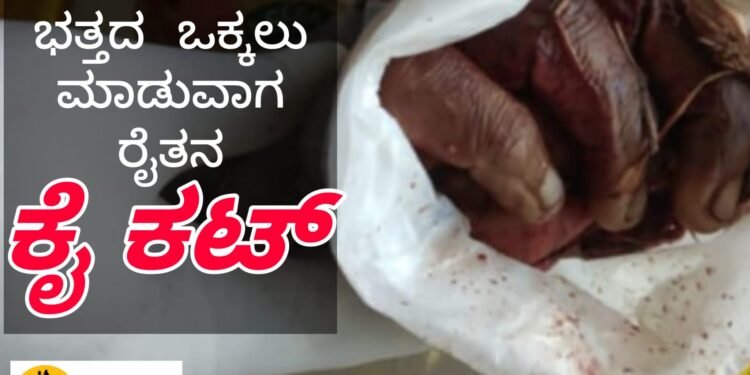 ಭತ್ತದ ಒಕ್ಕಲು ಮಾಡುವಾಗ ರೈತನ ಕೈ ಕಟ್ | ದೇವಗಂಗೆಯಲ್ಲಿ ದುರ್ಘಟನೆ