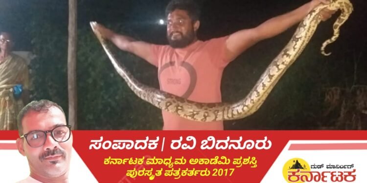 SHIVAMOGGA | ಕಾಚಿನಕಟ್ಟೆಯಲ್ಲಿ ಹೆಬ್ಬಾವು ಪ್ರತ್ಯಕ್ಷ : ರಾತ್ರಿ ಕಾರ್ಯಾಚರಣೆಯಲ್ಲಿ 8 ಅಡಿ ಉದ್ದದ ಹೆಬ್ಬಾವು ಸೆರೆಹಿಡಿದ ಉಂಬ್ಳೇಬೈಲು ಅರಣ್ಯ ಇಲಾಖೆ