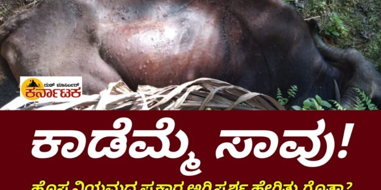 ಕಾಲುವೆಗೆ ಬಿದ್ದು ಕಾಡಮ್ಮೆ ಸಾವು : ಹೊಸ ನಿಯಮಾವಳಿ ಪ್ರಕಾರ ಅಂತ್ಯಕ್ರಿಯೆ