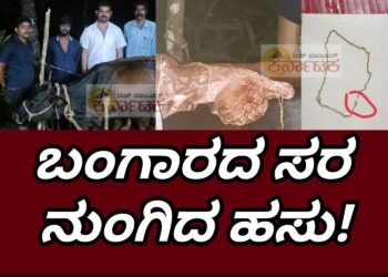 ಬಂಗಾರದ ಸರ ನುಂಗಿದ ಹಸು |ಹಸುವಿನ ಹೊಟ್ಟೆ ಸೇರಿದ್ದ ರೂ.70 ಸಾವಿರ ಮೌಲ್ಯದ ಚಿನ್ನದ ಸರ | ಹಸುವಿನ ಜೀವಕ್ಕು ಕುತ್ತು ತಂದಿದ್ದ ಸರ | ಯಶಸ್ವಿ ಆಪರೇಶನ್..  12 ಗ್ರಾಂ ಬಂಗಾರ ಹೊರತೆಗೆದ ಡಾ.ಆನಂದ್