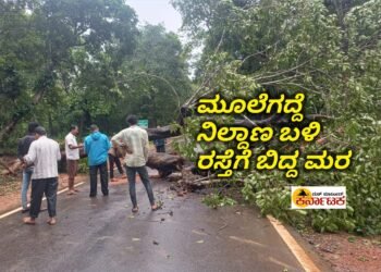 HOSANAGARA-SAGAR |ಮೂಲೆಗದ್ದೆ ನಿಲ್ದಾಣ ಬಳಿ ರಸ್ತೆಗೆ ಉರುಳಿದ ಮರ : ಕೆಲಕಾಲ ಸಂಪರ್ಕ ಕಡಿತ