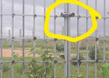 Shimoga| ಚಕ್ರಾ ಸಾವೇಹಕ್ಲು ಮುಳುಗಡೆ ಸಂತ್ರಸ್ಥರ ಹೋರಾಟ ಸಮಿತಿಯಿಂದ ನಾಳೆ ಪ್ರತಿಭಟನೆ | ಎಲ್ಲಿ..ಯಾಕೆ ಗೊತ್ತಾ?