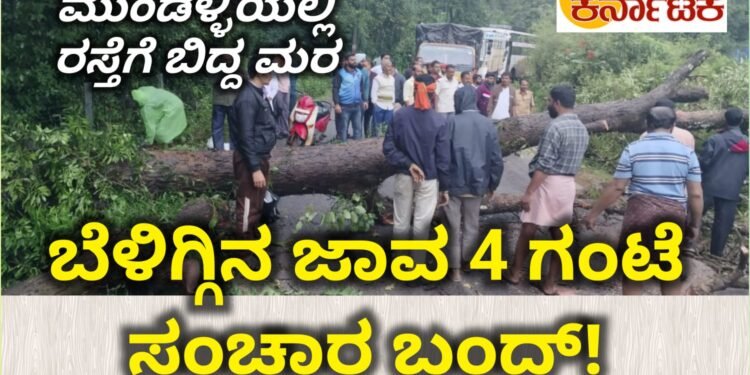 HOSANAGAR| ಮುಂಡಳ್ಳಿ ಸಮೀಪ ರಸ್ತೆಗೆ ಅಡ್ಡಲಾಗಿ ಬಿದ್ದ ಬೃಹತ್ ಮರ | ಬೆಳಗ್ಗಿನ ಜಾವ 4 ಗಂಟೆ ಕಾಲ ಸಂಚಾರ ಬಂದ್