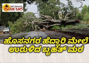 ಹೊಸನಗರ ಹೆದ್ದಾರಿ ಮೇಲೆ ಉರುಳಿದ ಬೃಹತ್ ಮರ | ಭರದಿಂದ ನಡೆಯುತ್ತಿದೆ ತೆರವು ಕಾರ್ಯಾಚರಣೆ