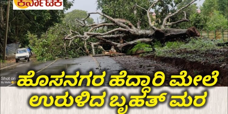 ಹೊಸನಗರ ಹೆದ್ದಾರಿ ಮೇಲೆ ಉರುಳಿದ ಬೃಹತ್ ಮರ | ಭರದಿಂದ ನಡೆಯುತ್ತಿದೆ ತೆರವು ಕಾರ್ಯಾಚರಣೆ