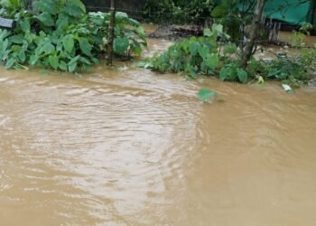 ನಗರ ಹೋಬಳಿಯಲ್ಲಿ ಸತತ 5 ಗಂಟೆಯಿಂದ ಸುರಿಯುತ್ತಿರುವ ಮಳೆ | ಮುಳುಗಿದ ಸೇತುವೆ.. ದ್ವೀಪದಂತಾದ ಶಾಸಕರ ಆಪ್ತ ಸಹಾಯಕನ ಮನೆ.