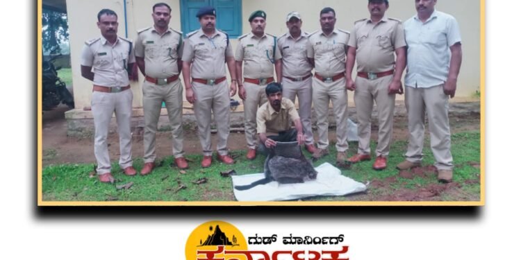 Nagara Range| ಅಳಿವಿನಂಚಿನ ವನ್ಯ ಪ್ರಾಣಿ ಹಾರು ಬೆಕ್ಕಿನ ಬೇಟೆ | ಓರ್ವ ಆರೋಪಿಯ ಬಂಧನ