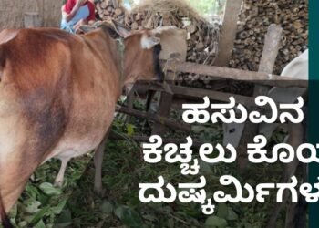 ಹಸುವಿನ ಕೆಚ್ಚಲು ಕೊ*ಯ್ದ ದುಷ್ಕರ್ಮಿಗಳು : ಹೊಸನಗರದ ವಿಜಾಪುರ ಗ್ರಾಮದಲ್ಲಿ ಘಟನೆ