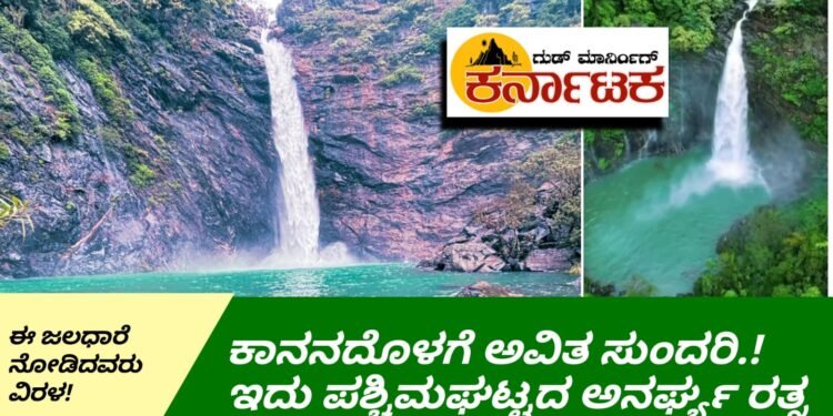 ಕಾನನ ನಡುವೆ ಅವಿತ ಚಕ್ರಾ ಸುಂದರಿ! ಮೋಹಕ್ಕೆ ಸಿಲುಕಿ ಅಕ್ರಮ ಪ್ರವೇಶಕ್ಕೆ ಮುಂದಾದರೇ ಜೋಕೆ? ಮೂಕಾಂಬಿಕ ಅಭಯಾರಣ್ಯದ ಈ ತಾಣಕ್ಕೆ ಅಕ್ರಮ ಪ್ರವೇಶ ನಿಷಿದ್ಧ