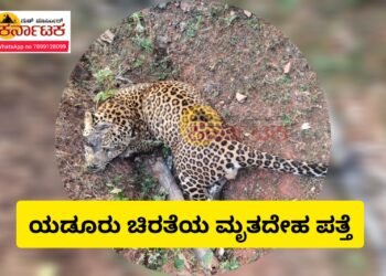 ಯಡೂರು‌ ಗ್ರಾಮದಲ್ಲಿ ಚಿರತೆ ಮೃತ ದೇಹ ಪತ್ತೆ | ನಗರ ವಲಯ ಅರಣ್ಯ ಕಚೇರಿಯಲ್ಲಿ ಪ್ರಕರಣ ದಾಖಲು