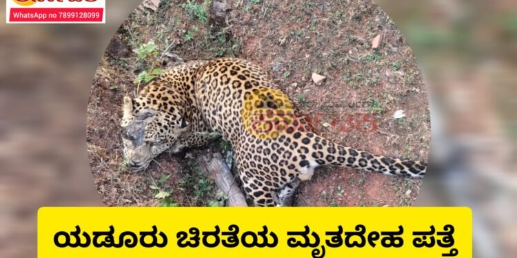 ಯಡೂರು‌ ಗ್ರಾಮದಲ್ಲಿ ಚಿರತೆ ಮೃತ ದೇಹ ಪತ್ತೆ | ನಗರ ವಲಯ ಅರಣ್ಯ ಕಚೇರಿಯಲ್ಲಿ ಪ್ರಕರಣ ದಾಖಲು